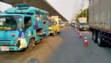 บางนา 50 องศา