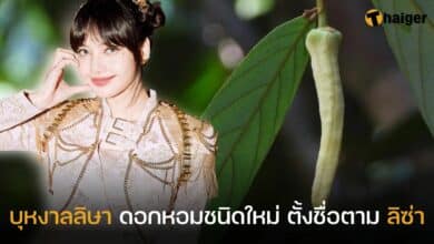 บุหงาลลิษา ตั้งชื่อตามลิซ่า