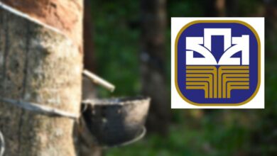 ประกันราคายางพารา เฟส เงินเข้าทุกวันศุกร์