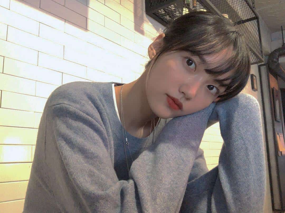 ประวัติ จองแชยุล