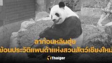 ประวัติ หลินฮุ่ย เสียชีวิต