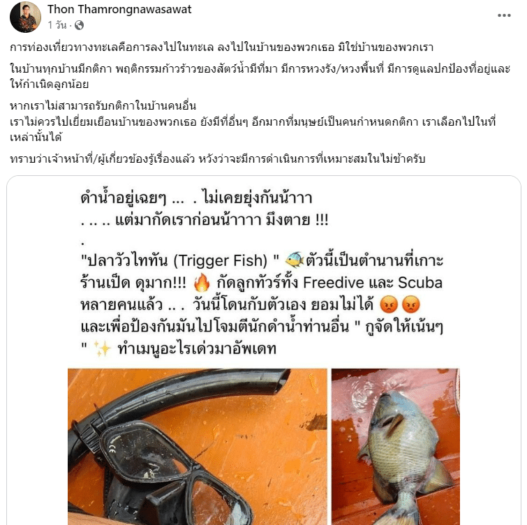 ดราม่า ปลาวัวไททัน