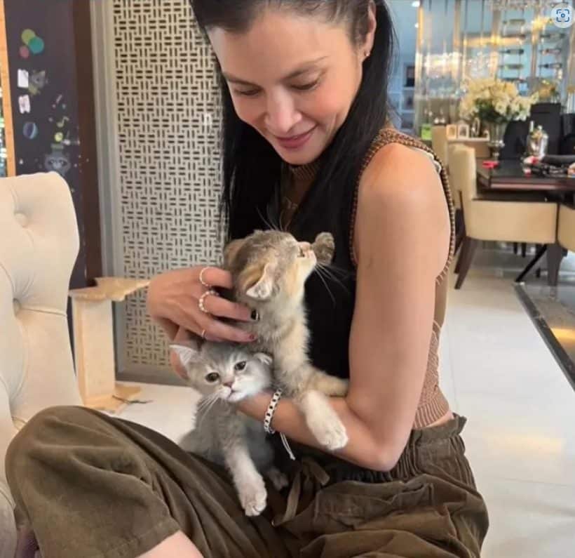 ดาราเลิกกัน