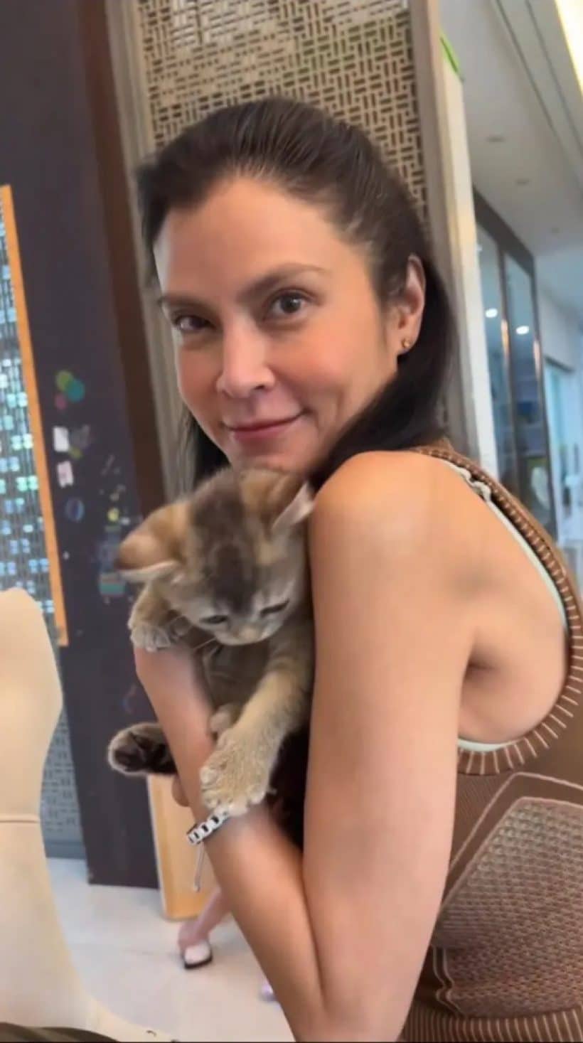 ข่าวปิ่นเจ