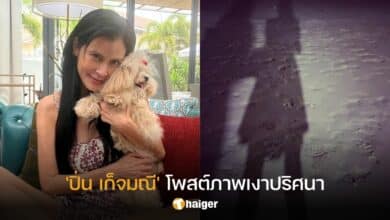 'ปิ่น เก็จมณี' โพสต์ภาพเงาปริศนา
