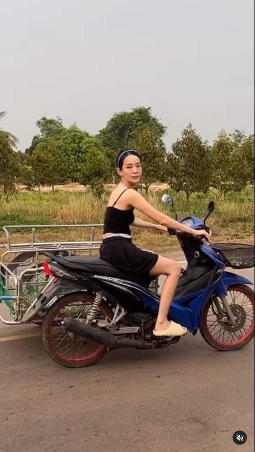 ปุ้มปุ้ย พรรณทิพา