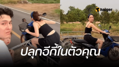 ปุ้มปุ้ย พรรณทิพา