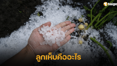 ลูกเห็บคืออะไร