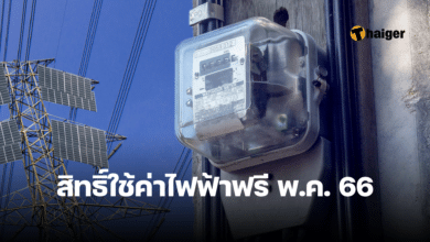 สิทธิ์ใช้ค่าไฟฟ้าฟรี พ.ค. 66