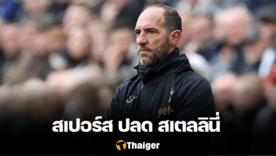 สเปอร์ส ปลด สเตลลินี่