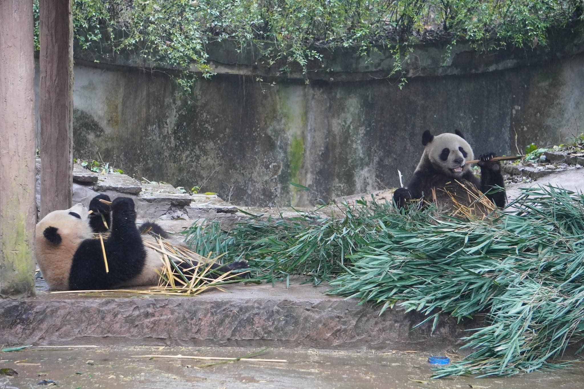 หลินปิง อยู่ที่ไหน