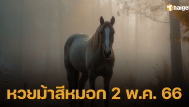 หวยม้าสีหมอก 2 5 66