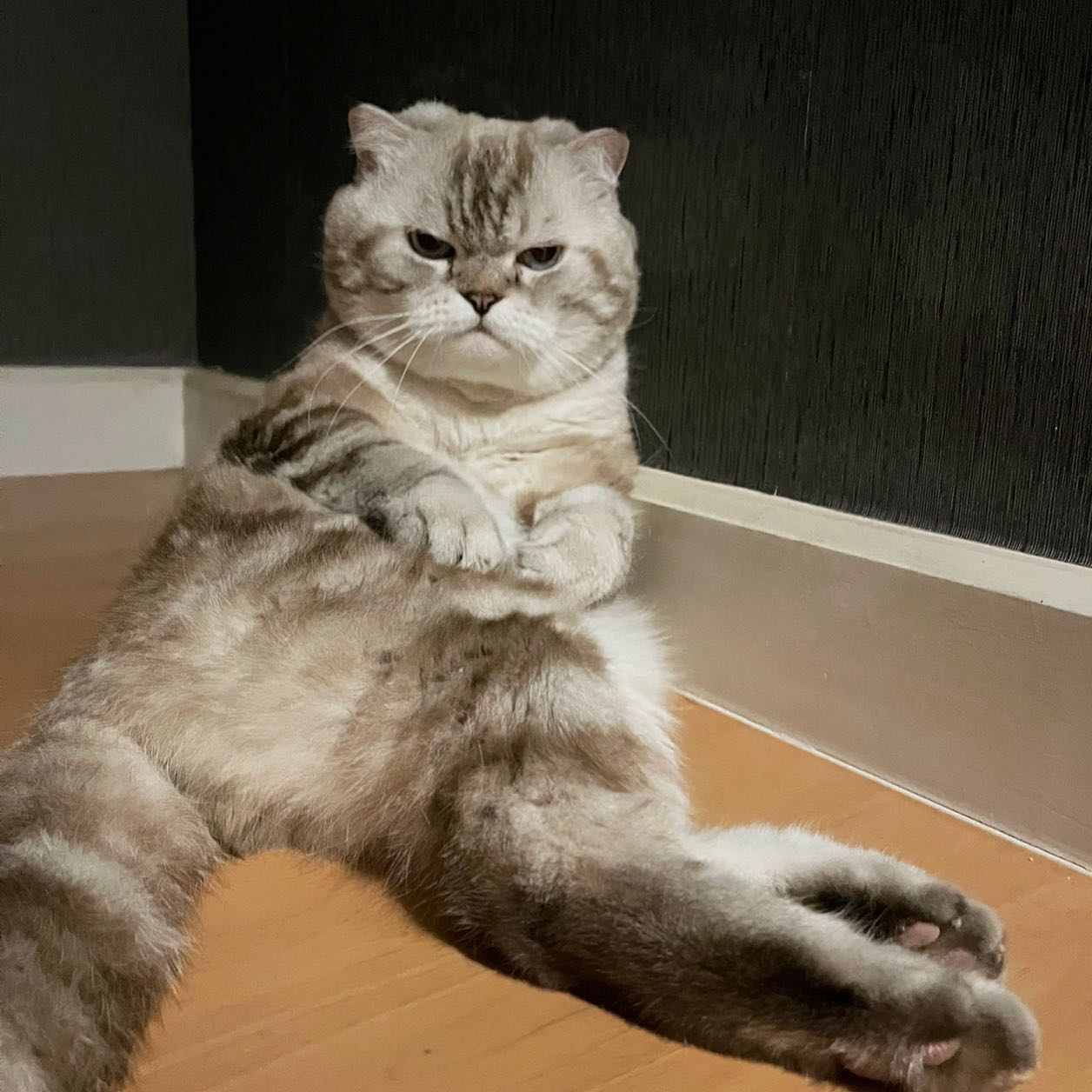 พี่เฉโป