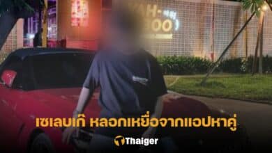 เซเลบเก๊