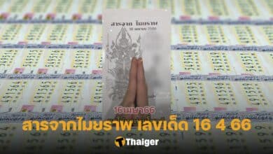 เลขเด็ด ไมยราพ 16 4 66