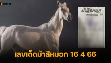 หวยม้าสีหมอก 16 4 66