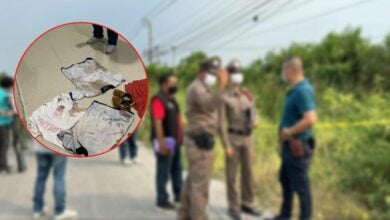 แก๊งค้ามนุษย์ ฆ่าหมกป่า