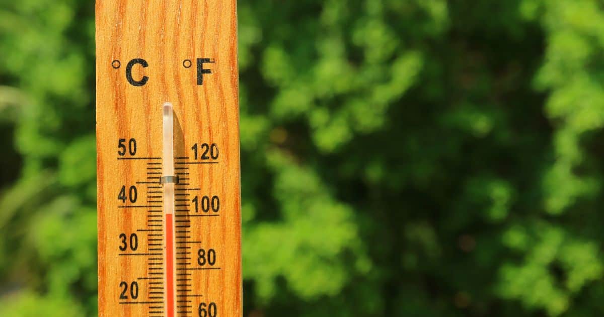 โรคหน้าร้อนผู้สูงอายุ