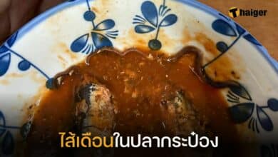 ไส้เดือนในปลากระป๋อง