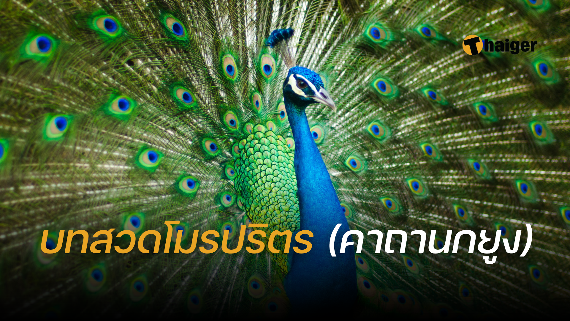 บทสวดโมรปริตร