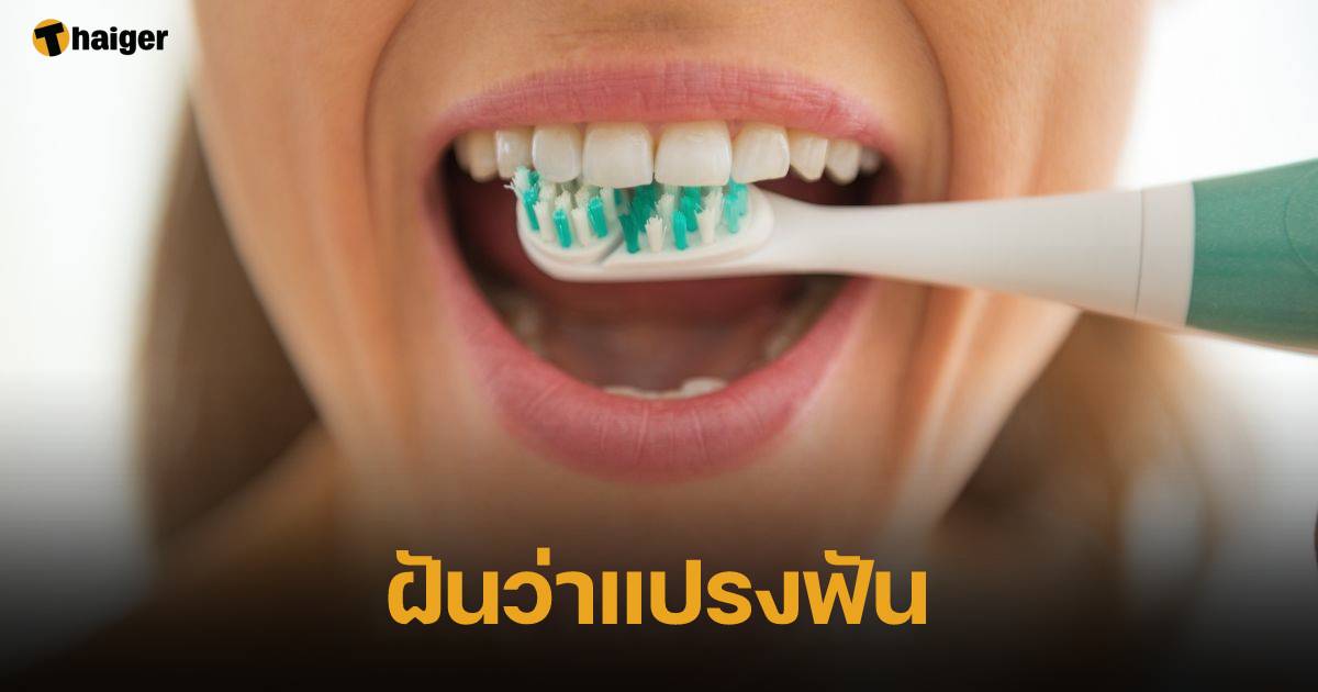 ฝันว่าแปรงฟัน ทำนายฝัน บอกความหมาย พร้อมตีเลขเด็ด | Thaiger ข่าวไทย