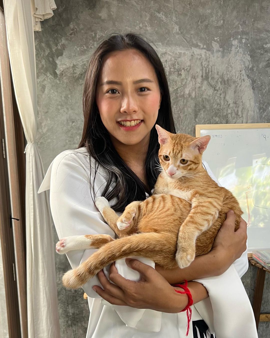 ประวัติ ไอซ์ รักชนก จากเซเลบคลับเฮาส์ สู่ ส.ส. ก้าวไกล ผู้ล้มช้าง |  Thaiger ข่าวไทย