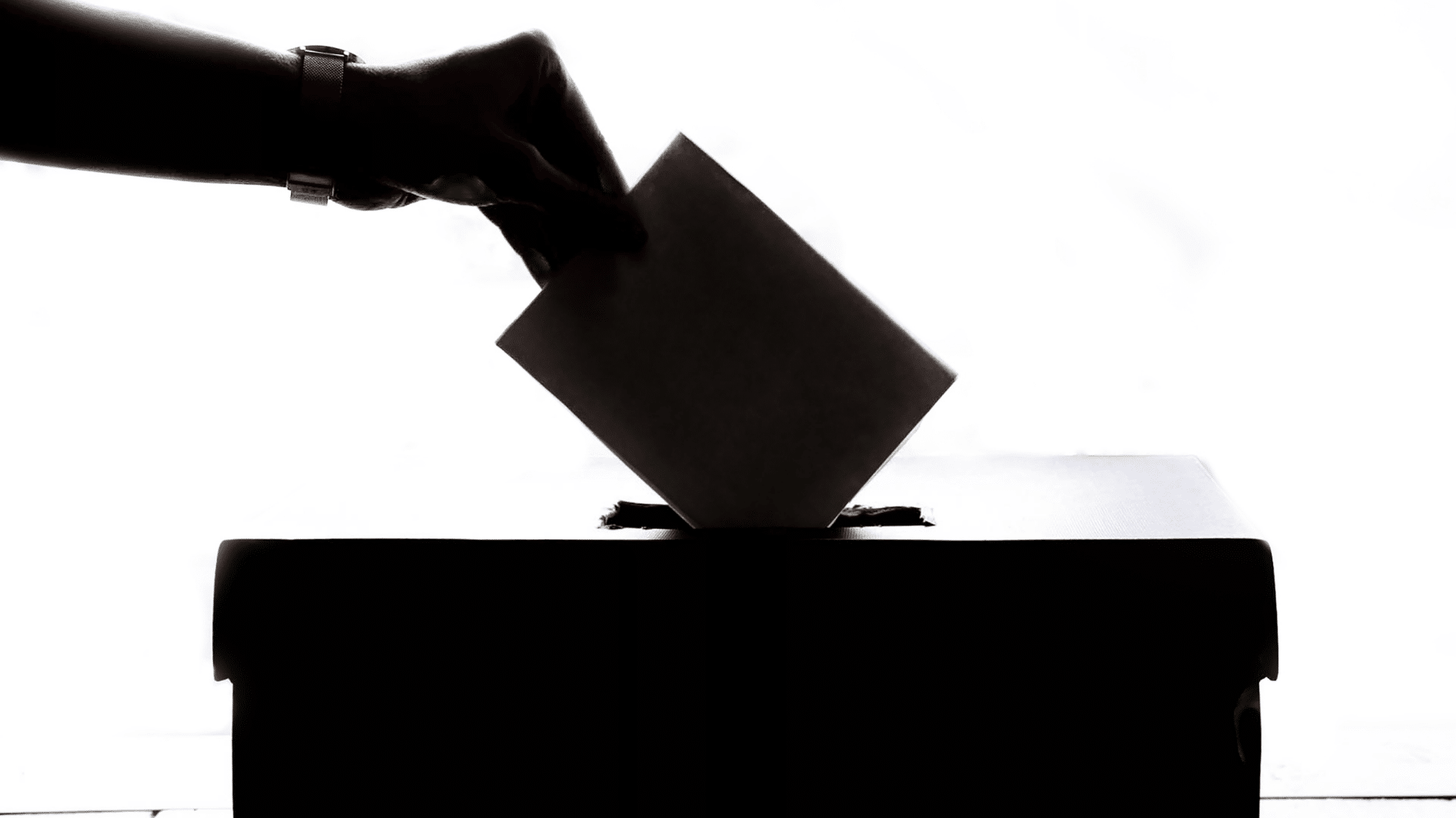 ECT report คือออะไร