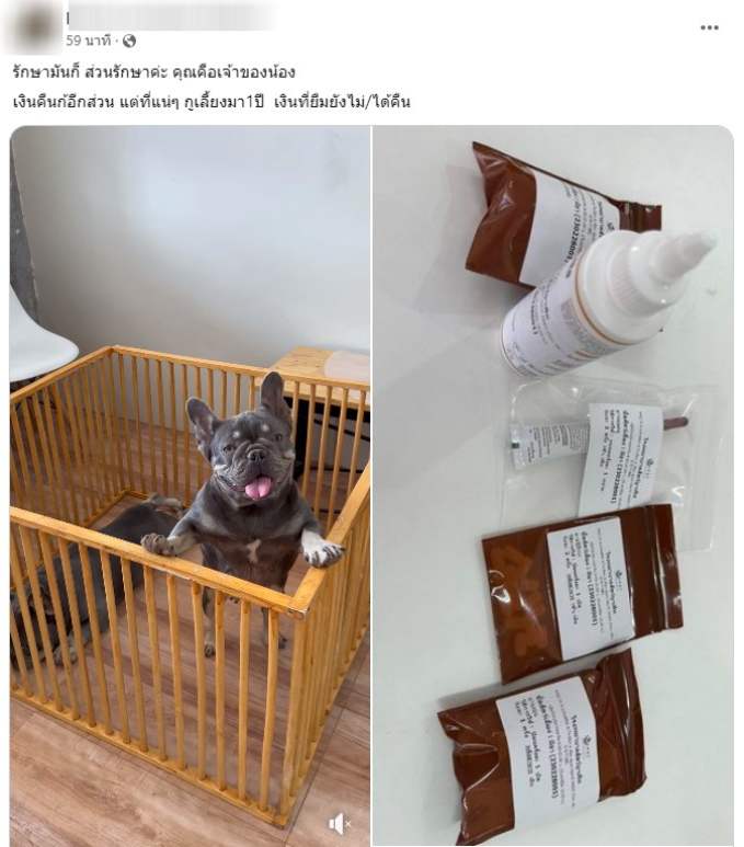 จำนำ หมา