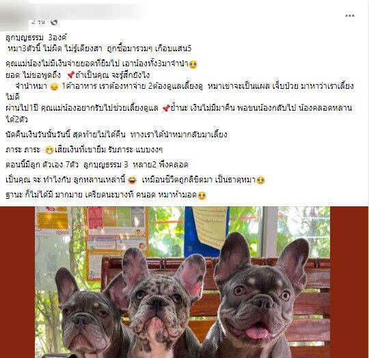 จำนำหมา