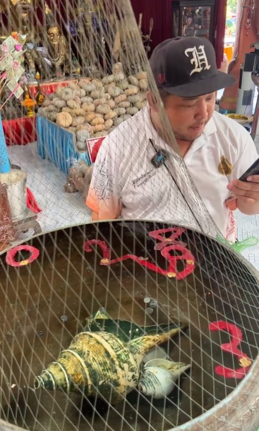 thai lottery 16 5 66