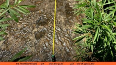 รอยเท้าไดโนเสาร์ จังหวัดเพชรบูรณ์