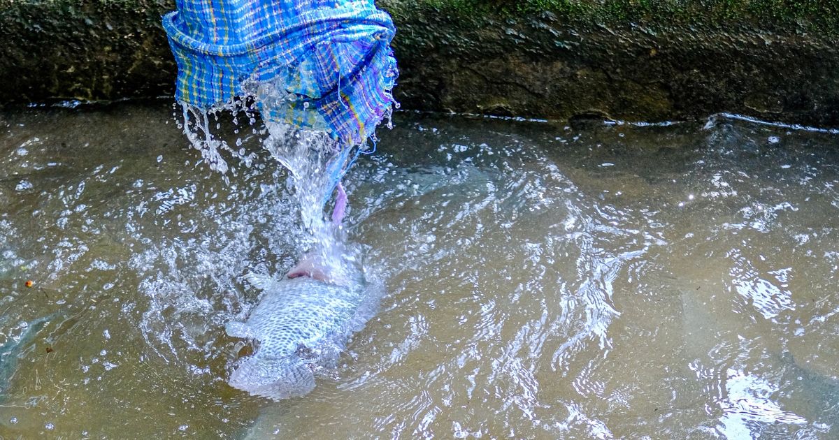 วันวิสาขบูชา 2566 ทำอะไรบ้าง