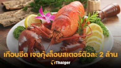 กุ้งล็อบสเตอร์ราคาหลักล้าน