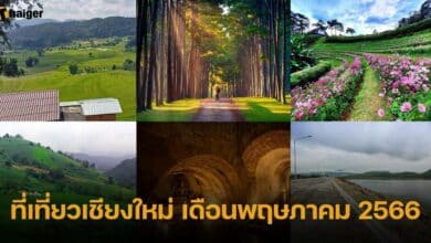 ที่เที่ยวเชียงใหม่ เดือนพฤษภาคม 2566