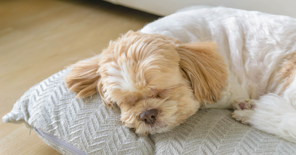 ขดตัวเล็กน้อย