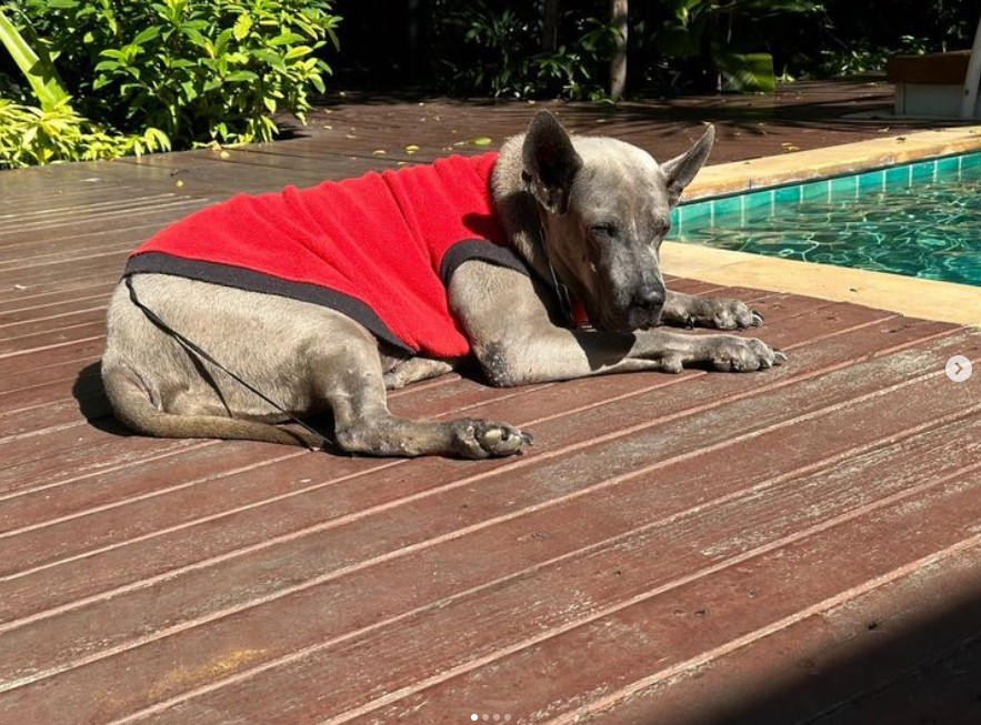 ย้อนดูภาพผูกพัน ลำดวน สรยุทธ์ ก่อนจากไปตลอดกาล