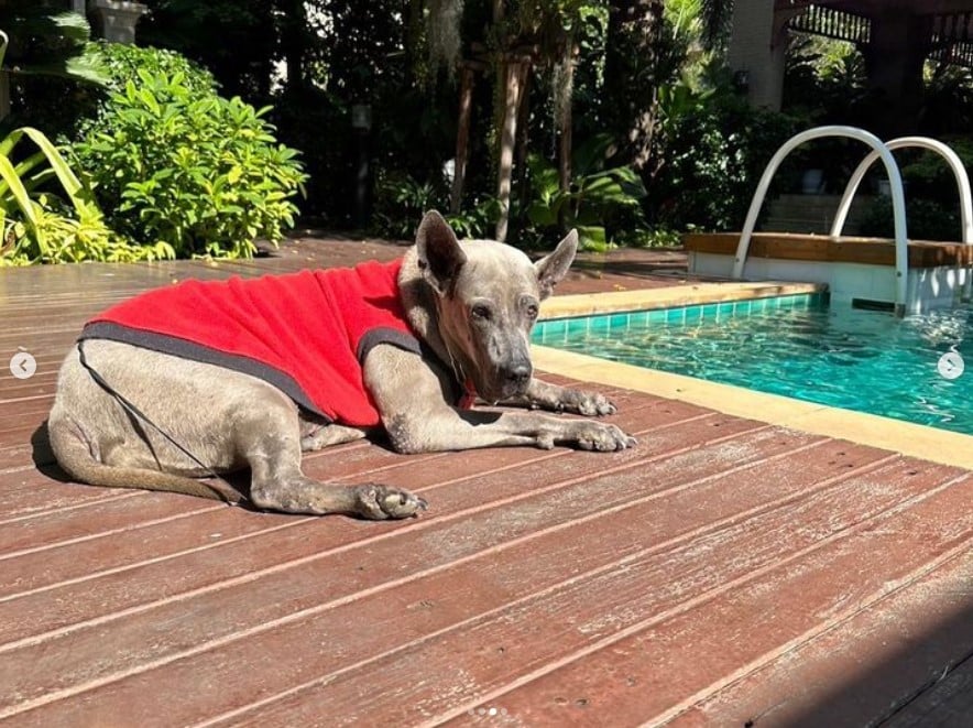 ย้อนดูภาพผูกพัน ลำดวน สรยุทธ์ ก่อนจากไปตลอดกาล