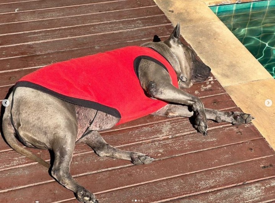 ย้อนดูภาพผูกพัน ลำดวน สรยุทธ์ ก่อนจากไปตลอดกาล