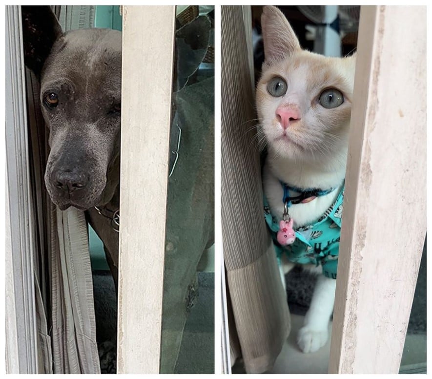 ย้อนดูภาพผูกพัน ลำดวน สรยุทธ์ ก่อนจากไปตลอดกาล