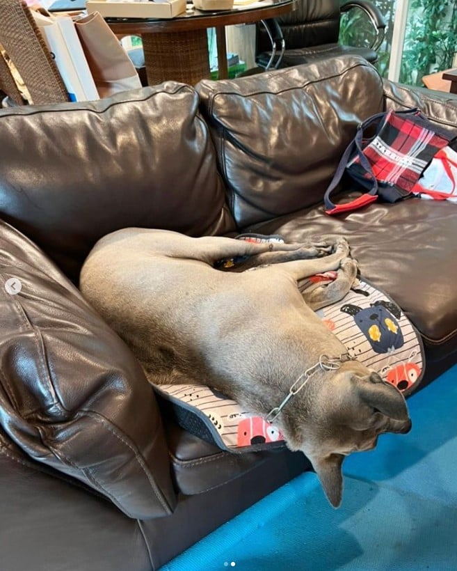 ย้อนดูภาพผูกพัน ลำดวน สรยุทธ์ ก่อนจากไปตลอดกาล