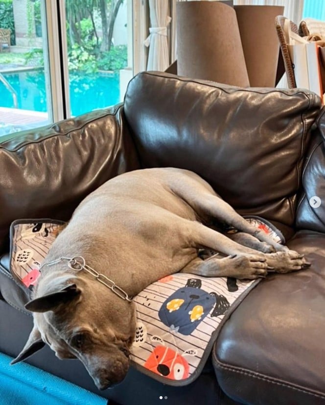 ย้อนดูภาพผูกพัน ลำดวน สรยุทธ์ ก่อนจากไปตลอดกาล