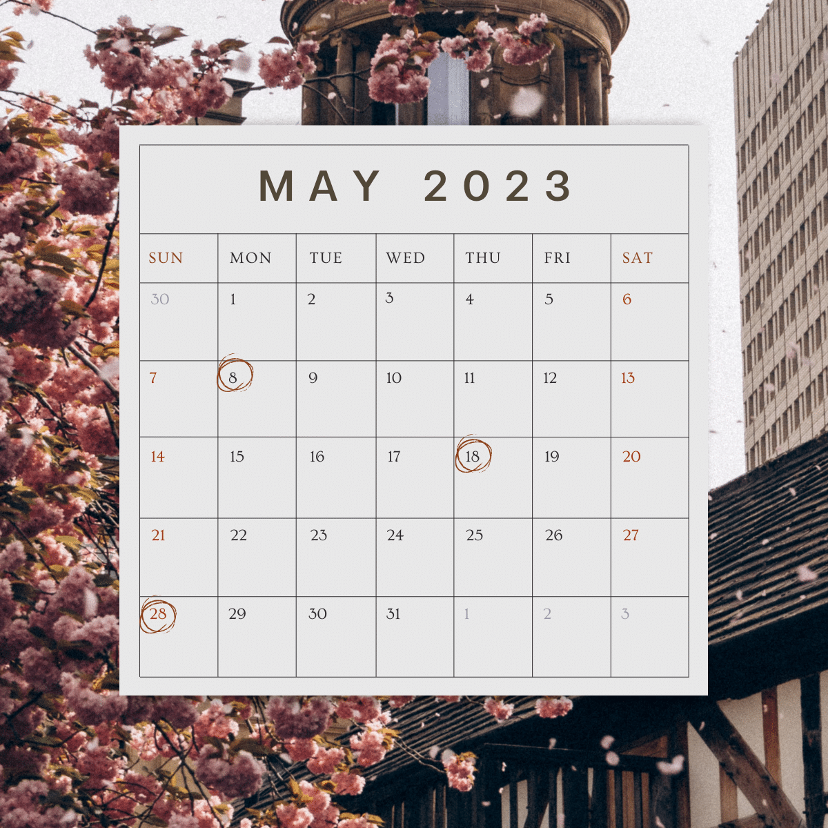 ฤกษ์ดีเดือนพฤษภาคม 2566 หมอช้าง