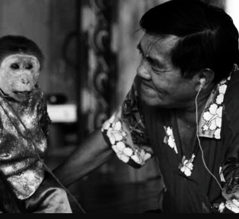 ลุงปัญญา คณะละครลิง เสียชีวิต