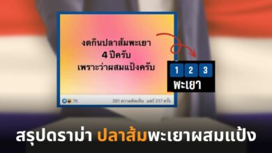 สรุปดราม่า ปลาส้มพะเยาผสมแป้ง