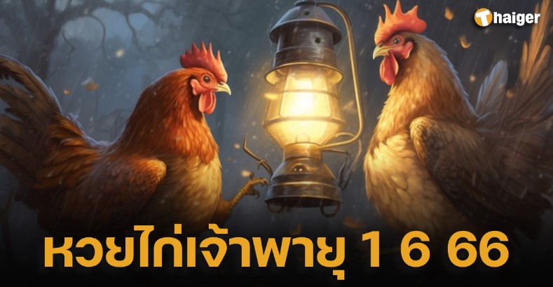 ส่องด่วน ‘หวยไก่เจ้าพายุ’ เลขเด็ดฟ้าประทาน เปิด 3 ตัวท้าย งวดนี้ 1 6 66