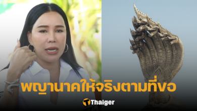 ส้มเช้ง สามช่า พญานาค