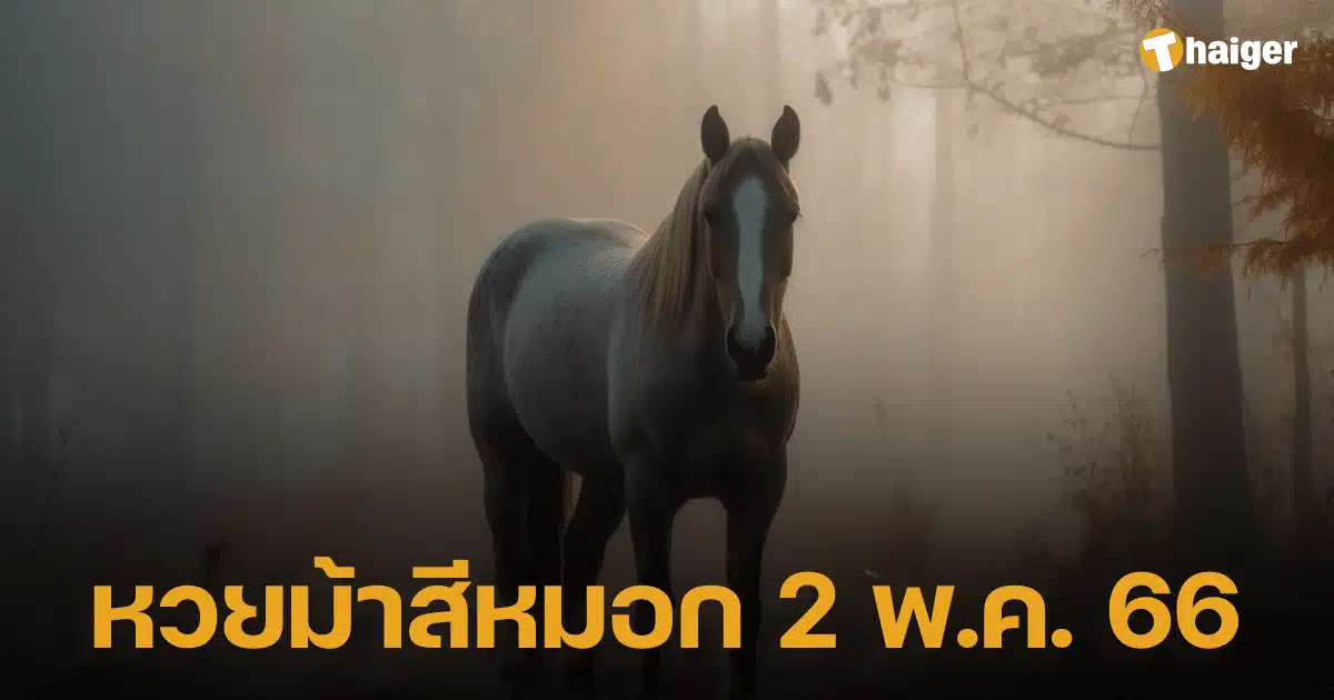 รวมเลขเด็ดหวยออกวันนี้