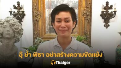 อุ๊ หฤทัย ไม่ได้สนับสนุน พิธา