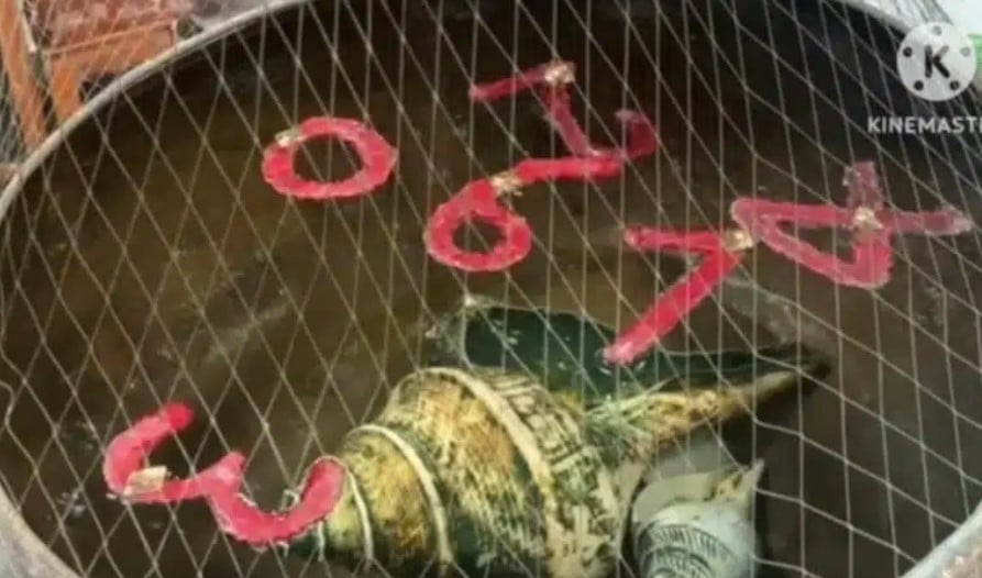 เปิดก่อนใคร อ่างน้ำมนต์ฤาษีเณร 16 พ.ค. 66