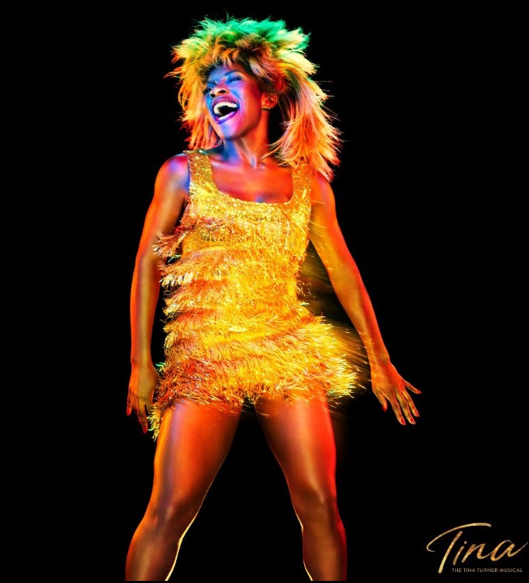 เปิดเลขอายุ ทีน่า เทอร์เนอร์ เสียชีวิต